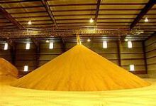 Distiller’s dried grains with solubles (DDGS)